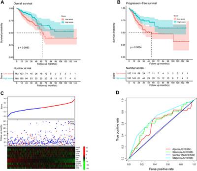 Immune-related gene-based model predicts the survival of colorectal carcinoma and reflected various biological statuses